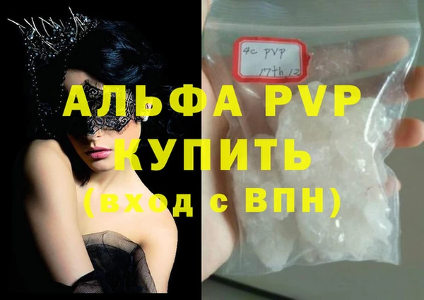 mdpv Бородино