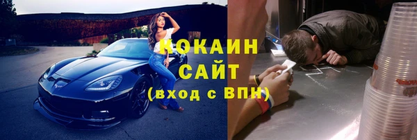 mdpv Бородино