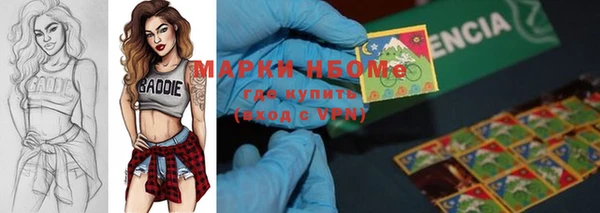 mdpv Бородино