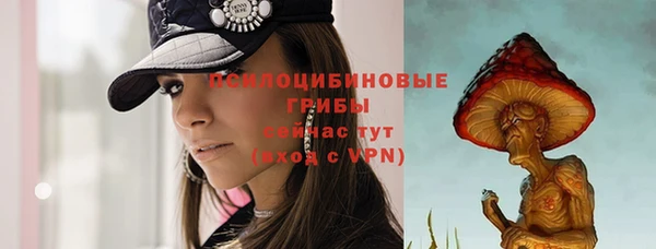spice Бронницы