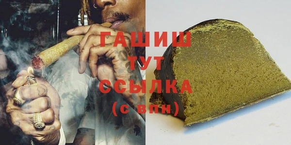 mdpv Бородино