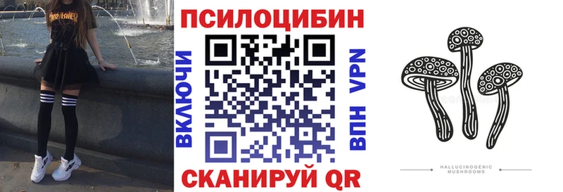 Псилоцибиновые грибы Psilocybine cubensis  Пятигорск 